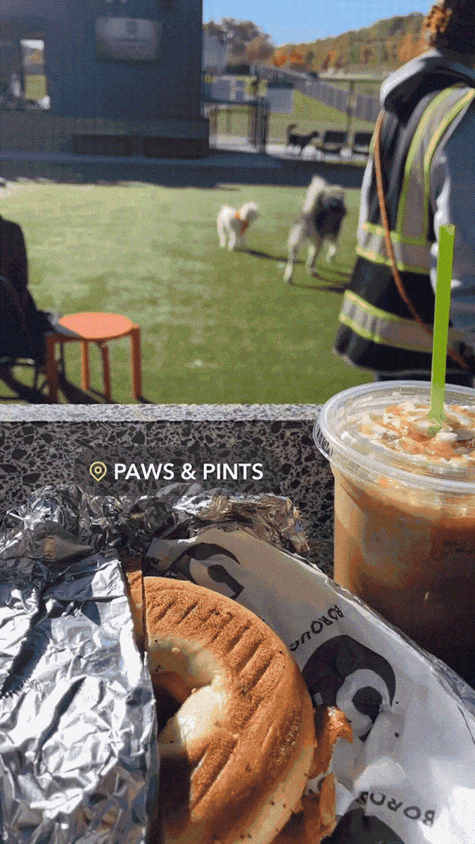 paws & pints