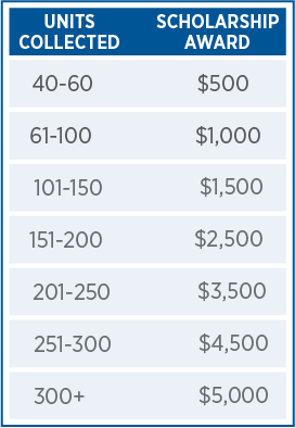 scholarship tiers