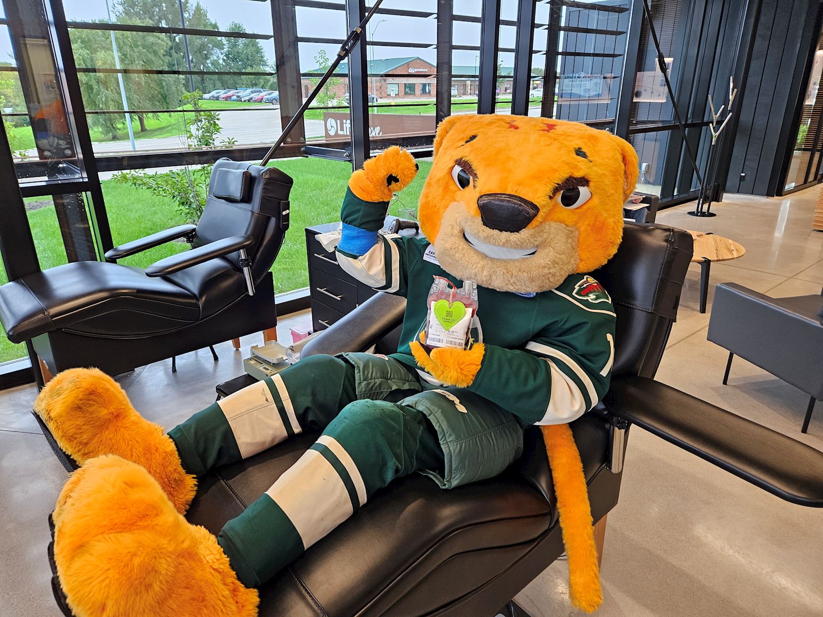 Crash donating blood