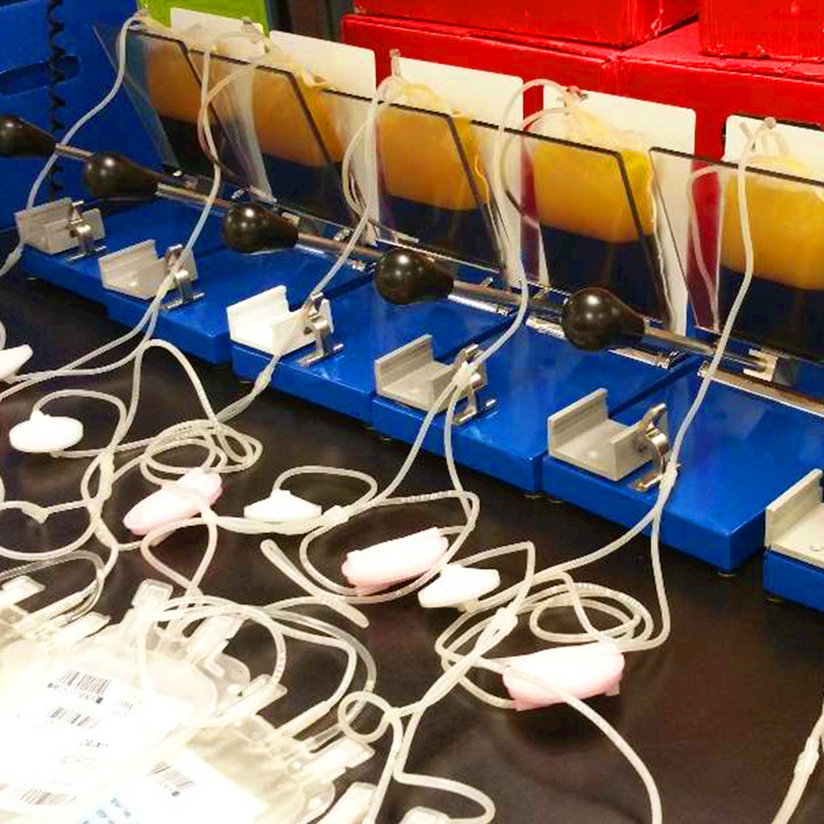 LifeServe_Transfusion Guidelines_9.3_IMG11