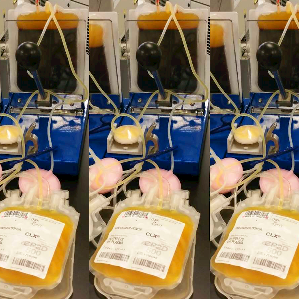 LifeServe_Transfusion Guidelines_9.3_IMG12