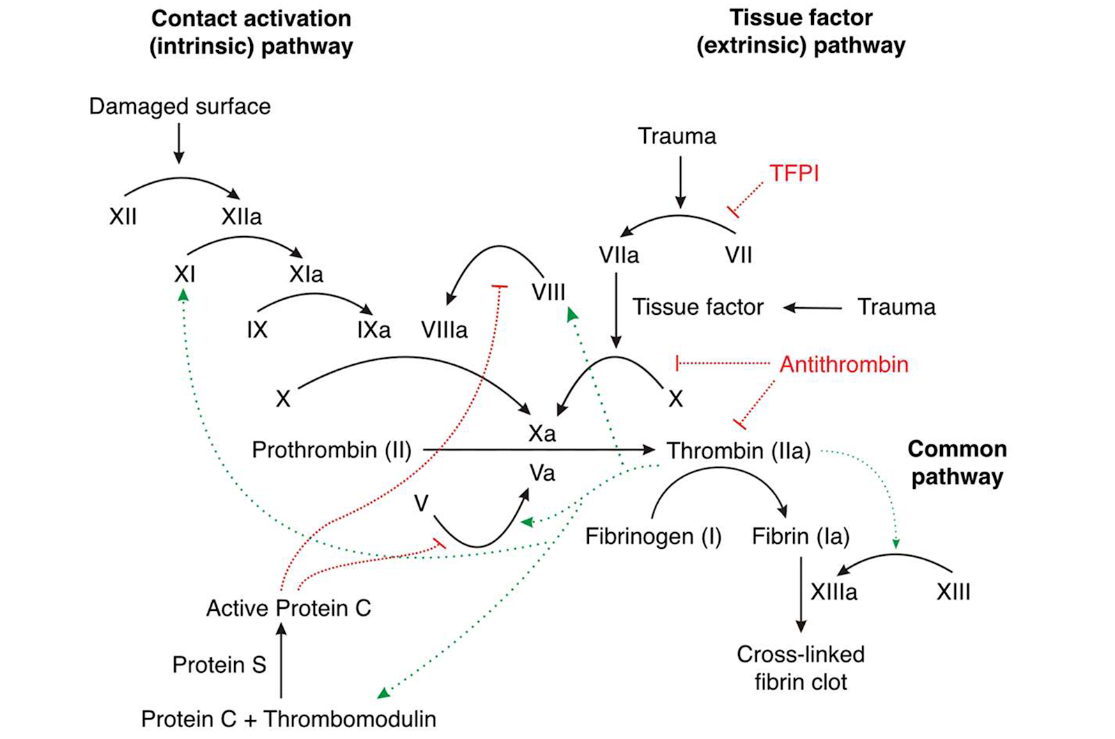 LifeServe_Transfusion Guidelines_9.3_IMG22