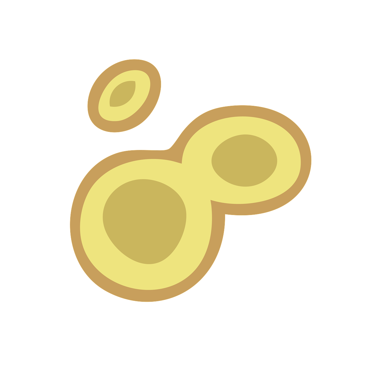 lsbc_icons_platelets_SHD