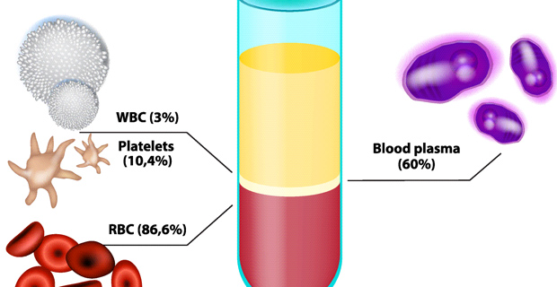 Blood Components