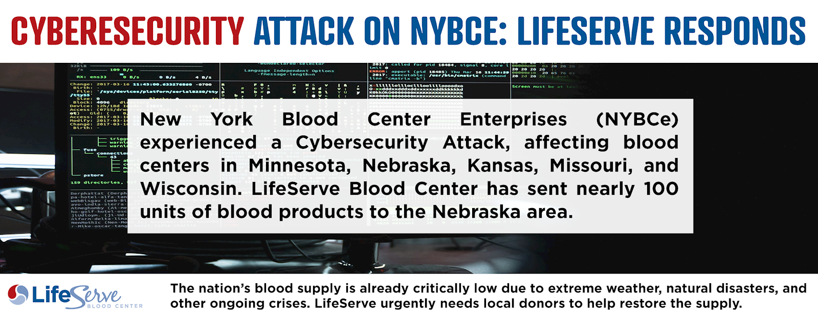 NYBCe%20Response_WB-Banner